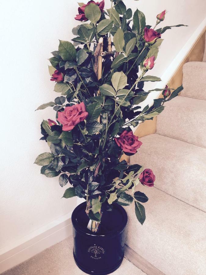 Red Rose Cottage Cockermouth Bagian luar foto